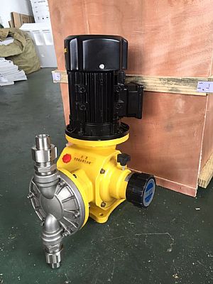 GM�͸�ĤӋ����